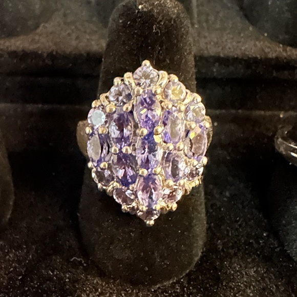 Southern Silver - Picture 4 of 16